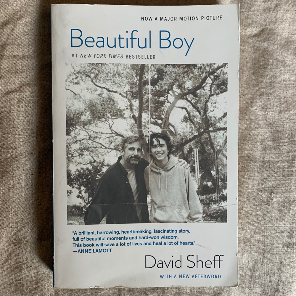 Beautiful Boy by David Sheff